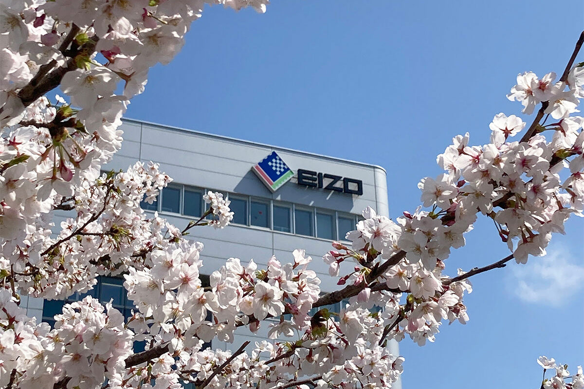 Le printemps fleurit chez EIZO Japon !