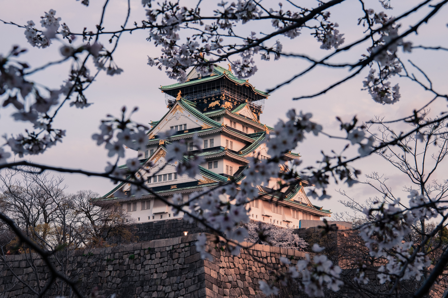 Osaka 2025 : au cœur du lien France–Japon