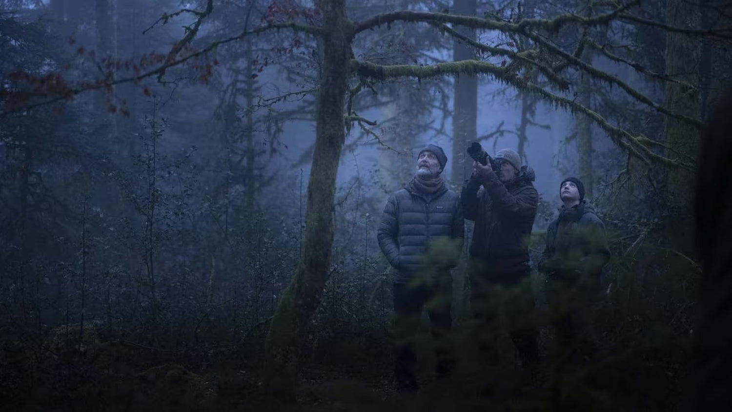 Vincent Munier – « Le chant des forêts » sur du EIZO