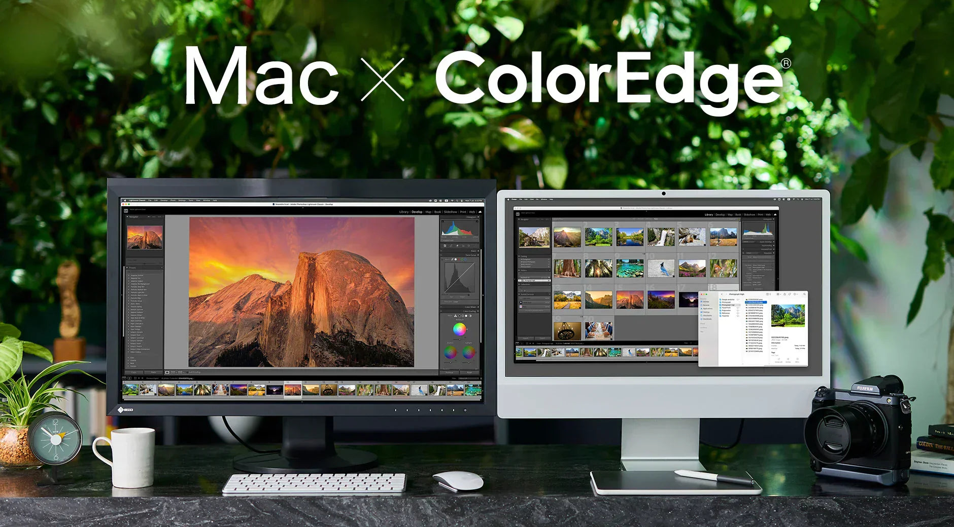 Mac x ColorEdge