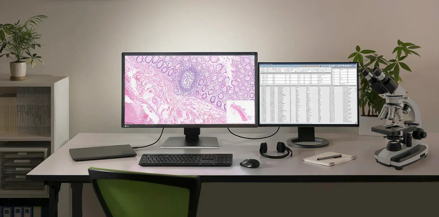 EIZO lance son premier moniteur dédié à la pathologie numérique pour répondre aux nouveaux besoins des flux de travail médicaux