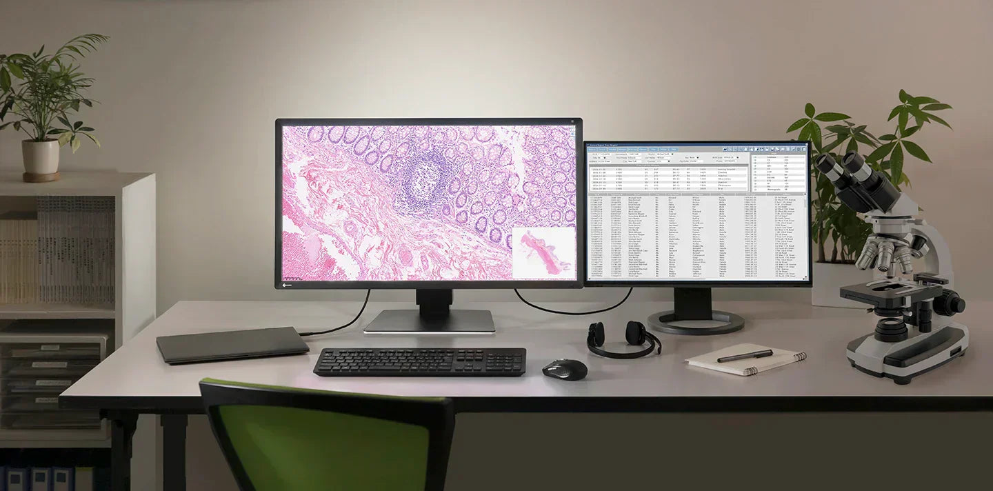 EIZO lance son premier moniteur dédié à la pathologie numérique pour répondre aux nouveaux besoins des flux de travail médicaux