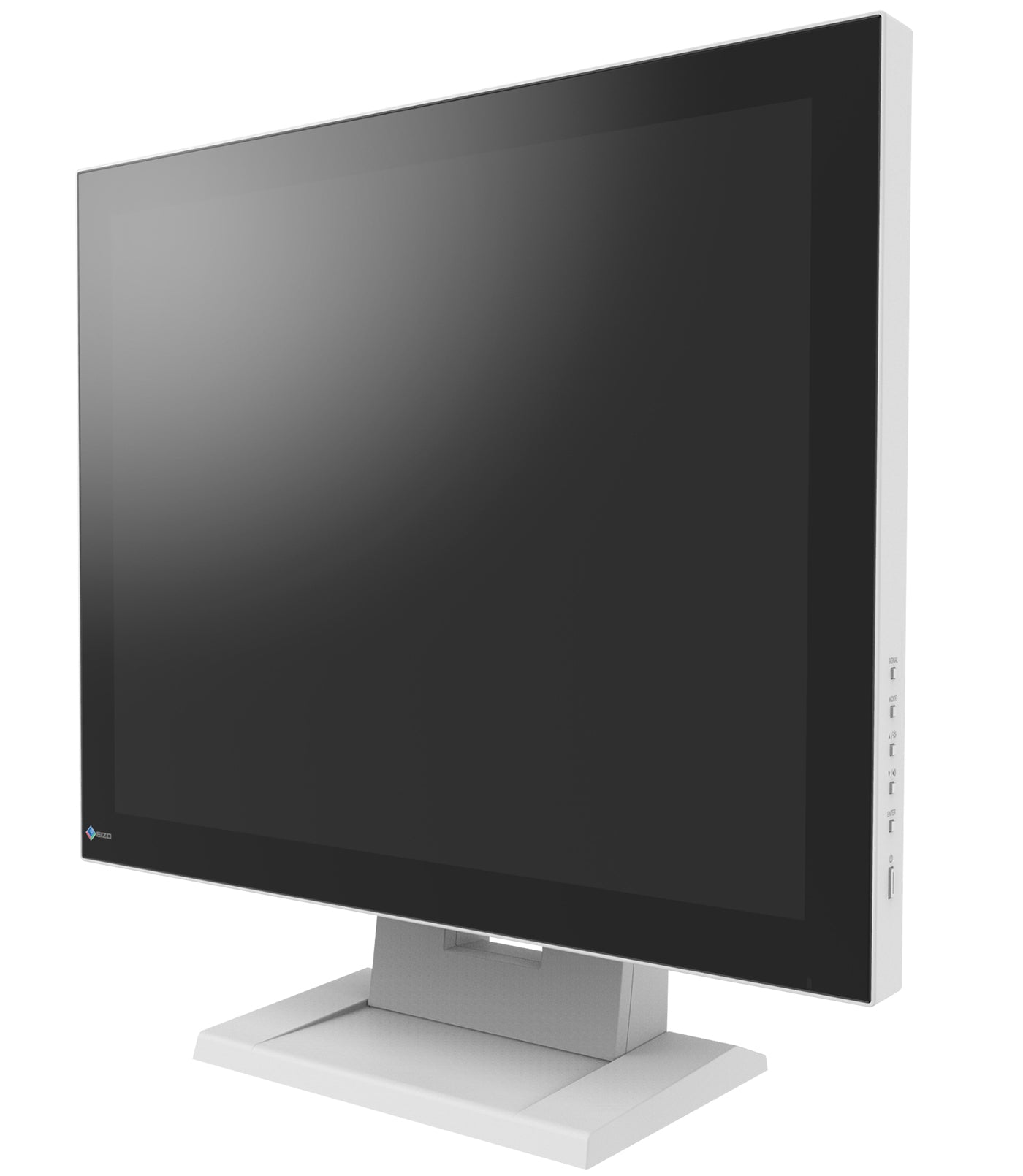 DuraVision 19p LCD FDS1921T
