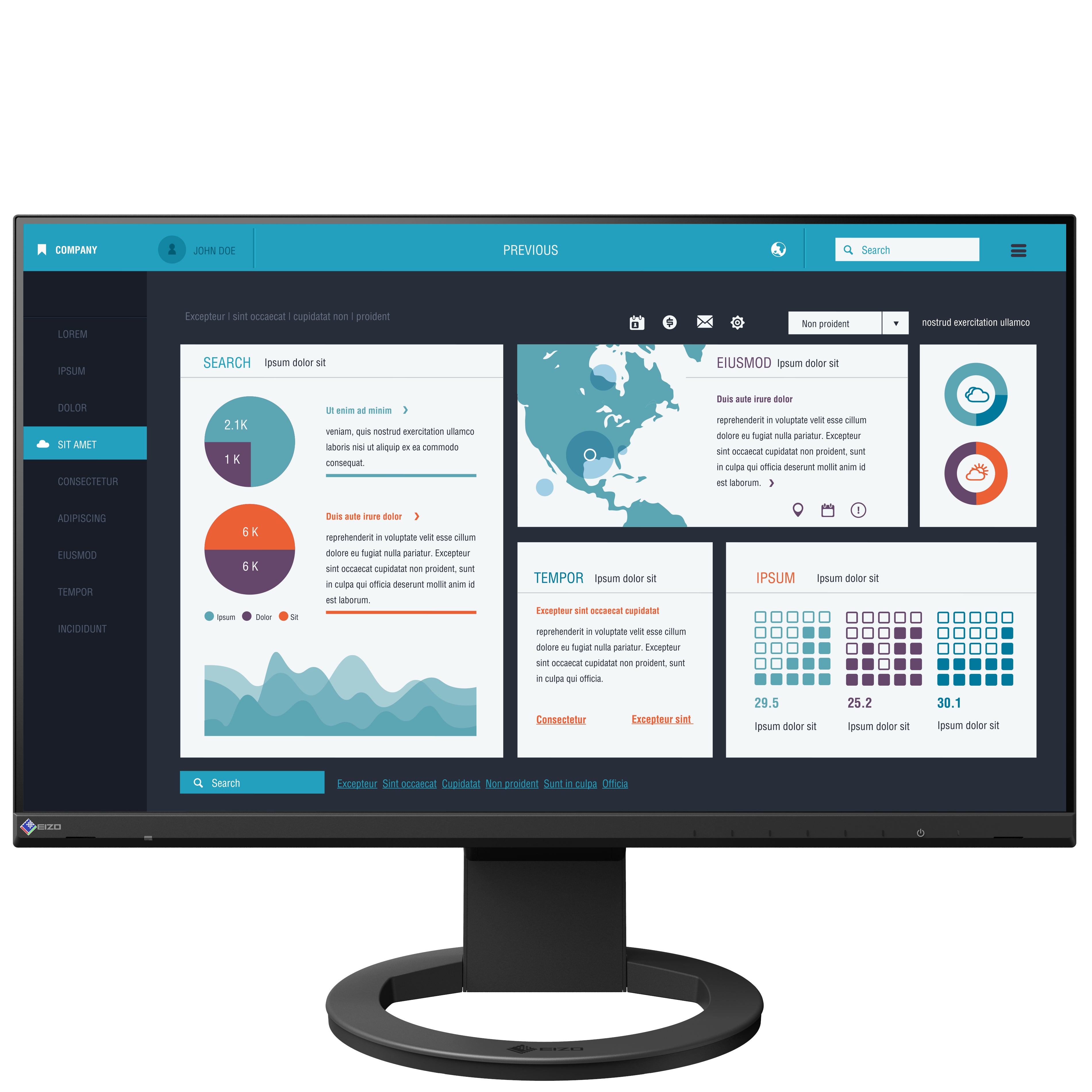 FlexScan EV2490