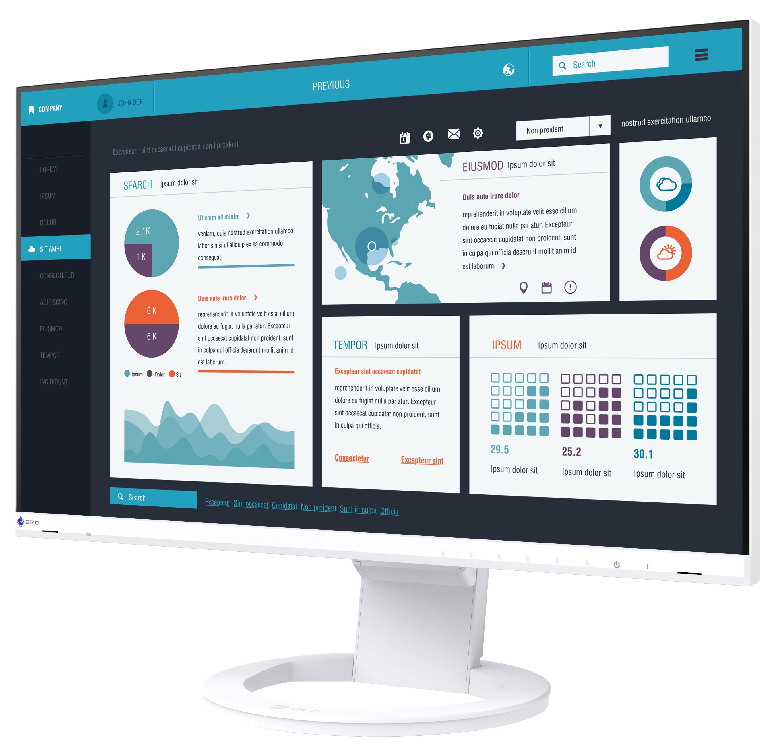 FlexScan EV2490