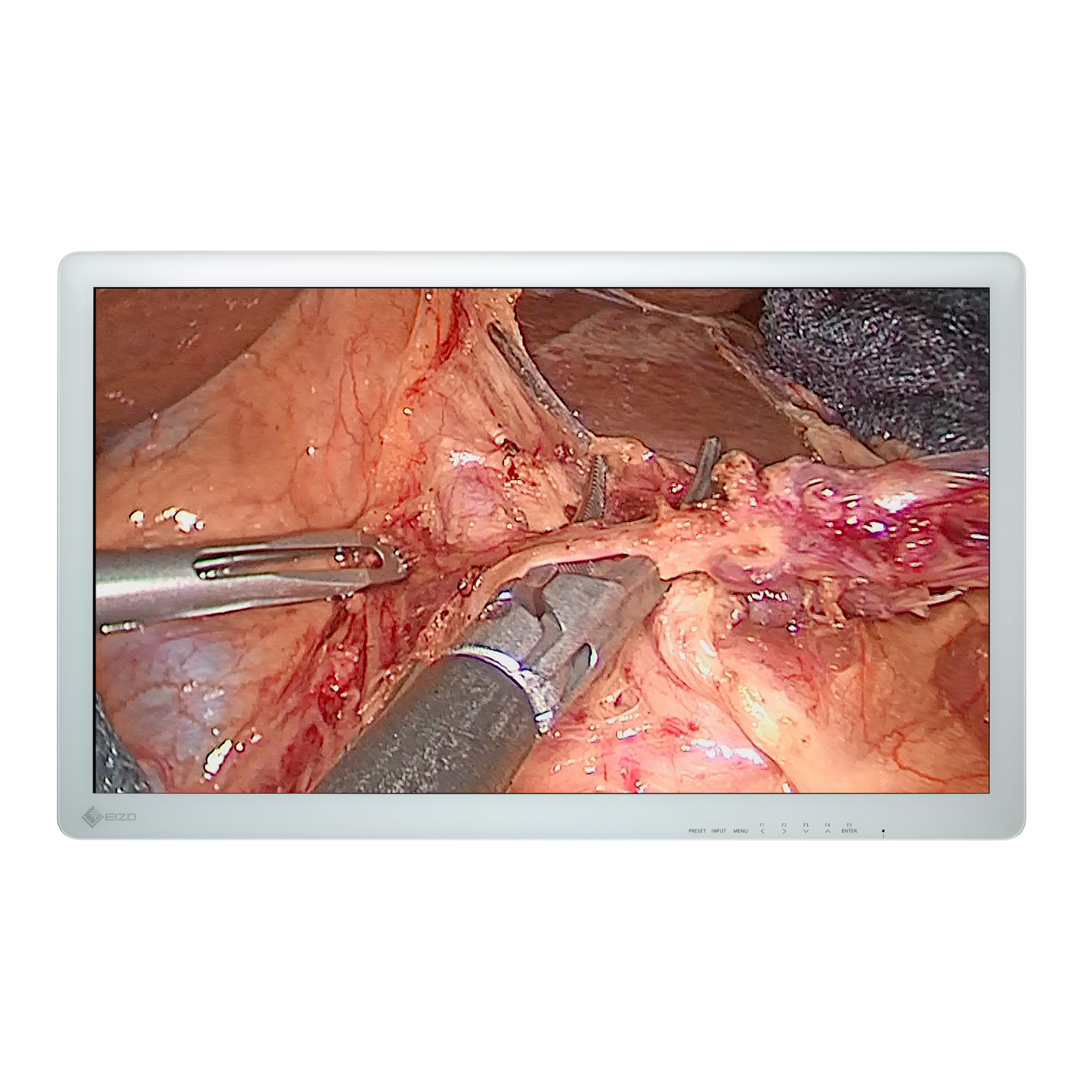 CuratOR 32p LCD EX3220