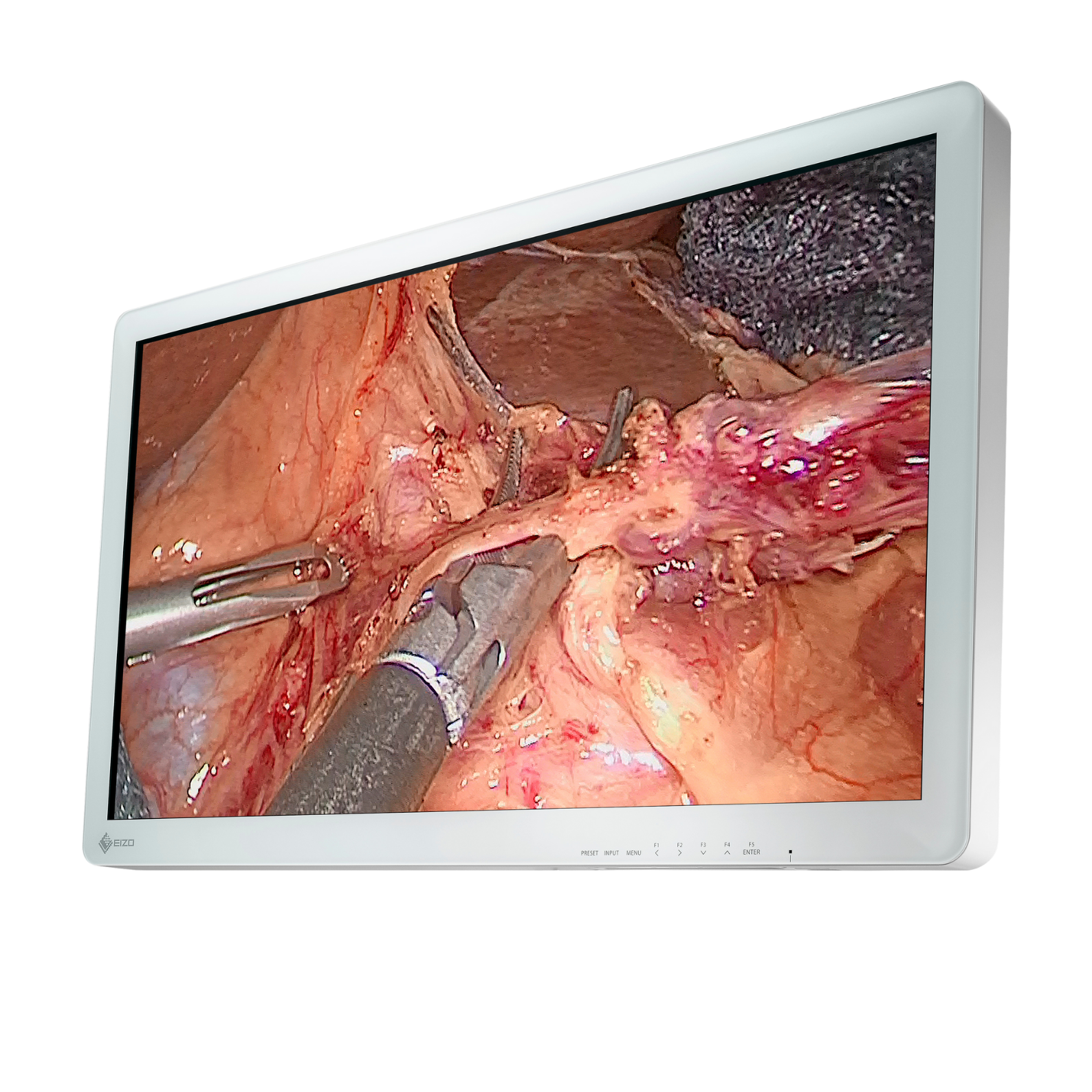 CuratOR 32p LCD EX3220