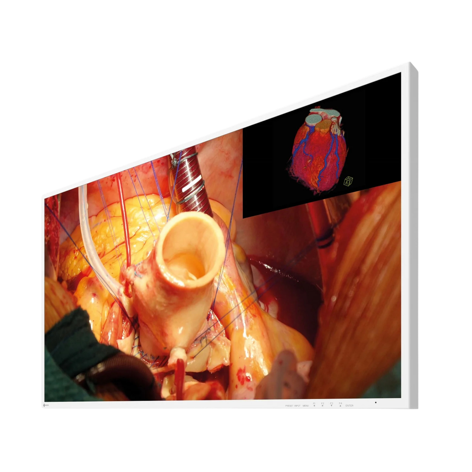 CuratOR 43p 4K UHD EX4342