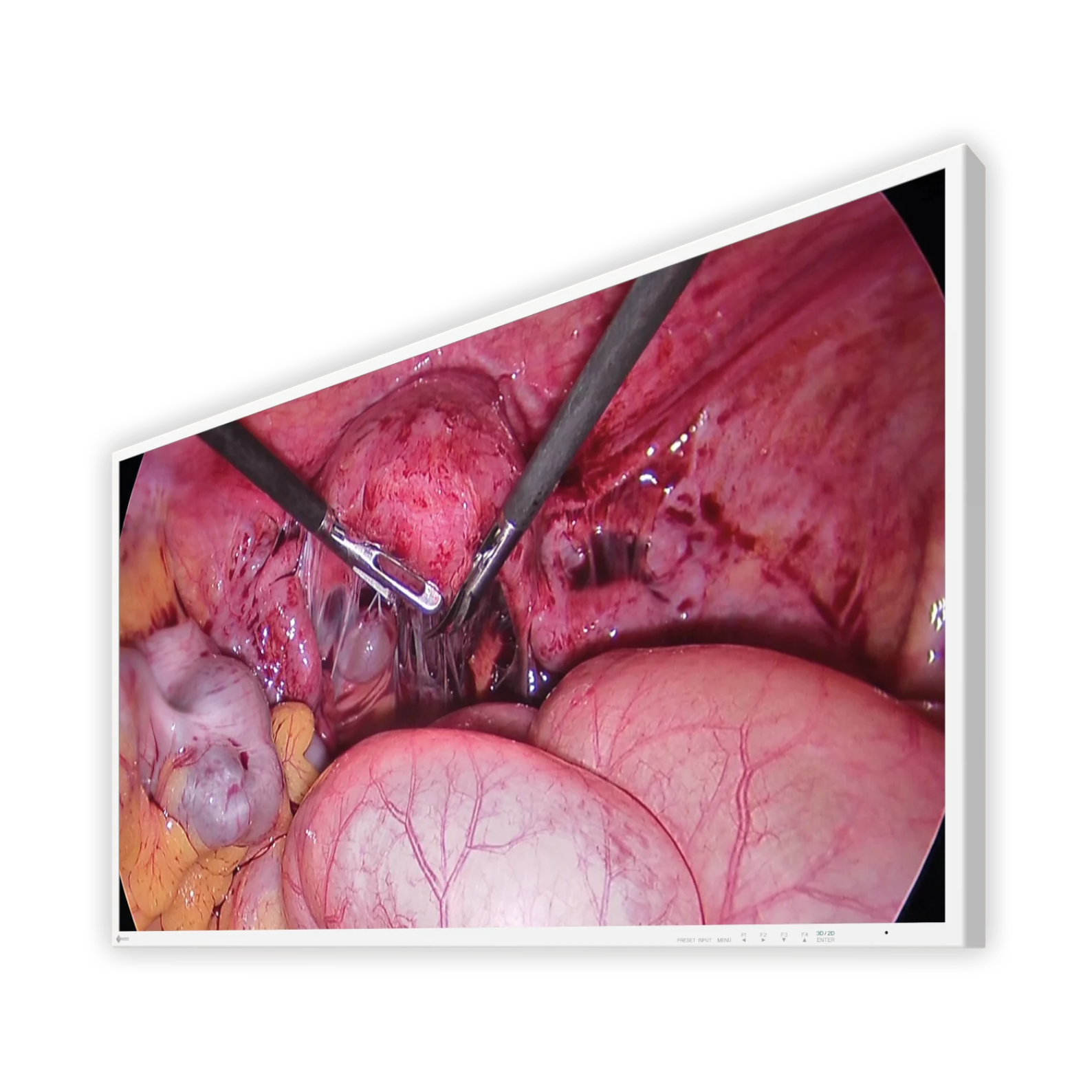 CuratOR 43p 4K UHD EX4342-3D