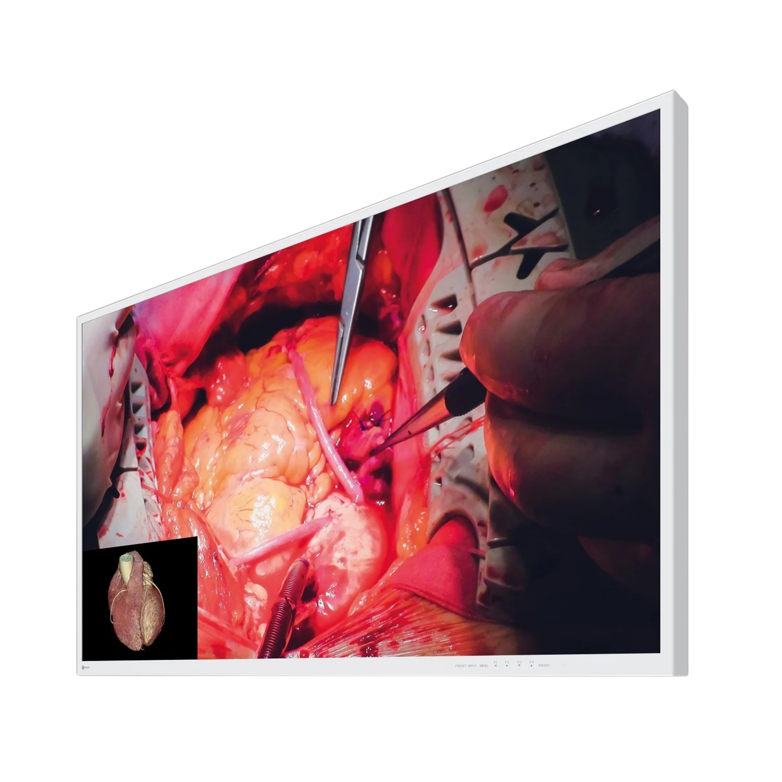 CuratOR 49p 4K UHD EX4942