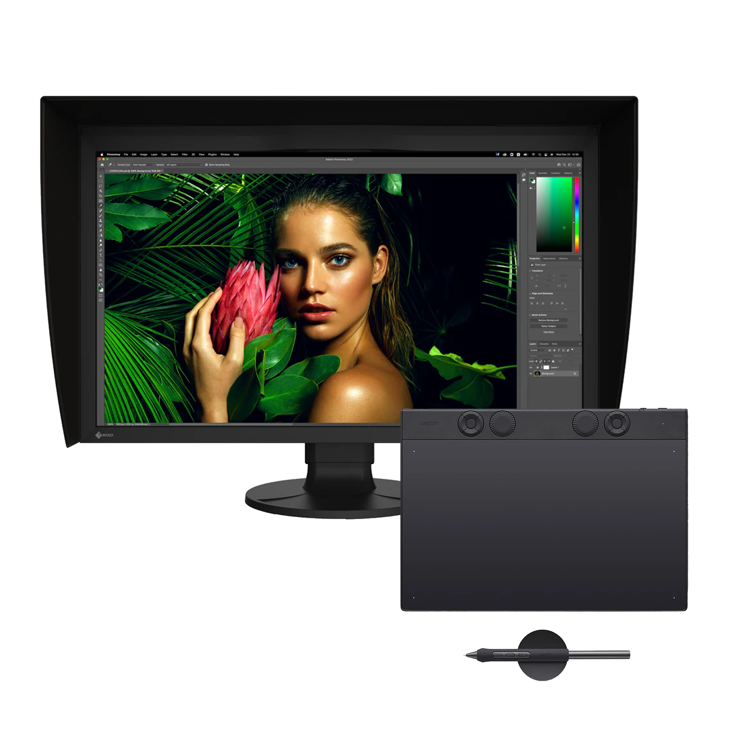 Wacom Intuos Pro pen tablet Medium - M