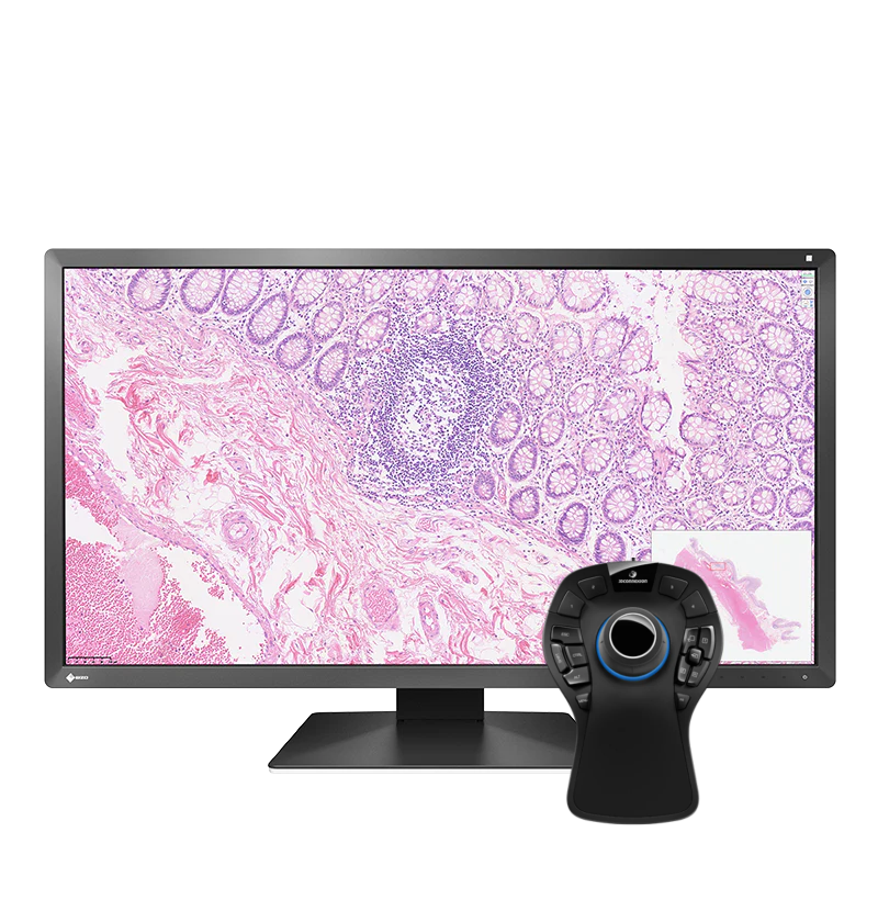 Pack Eizo PX3150 + SpaceMouse Pro