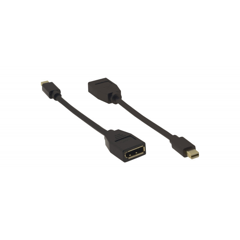 Câble Adaptateur mini DisplayPort (M) vers DisplayPort (F)