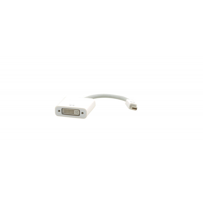 Câble Adaptateur Actif Mini DisplayPort (M) vers DVI - D (F) - 0,15 m
