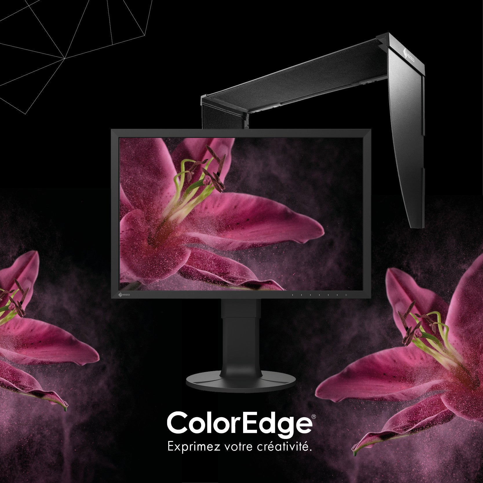 ColorEdge 24P CS2400S + Casquette CH2400