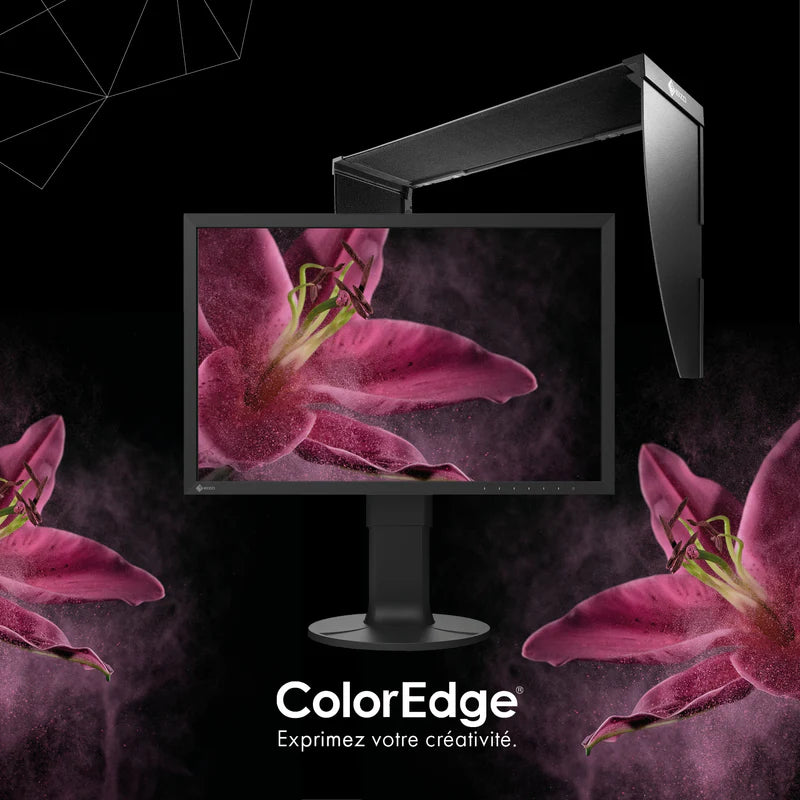 ColorEdge 24P CS2400R + Casquette CH2400