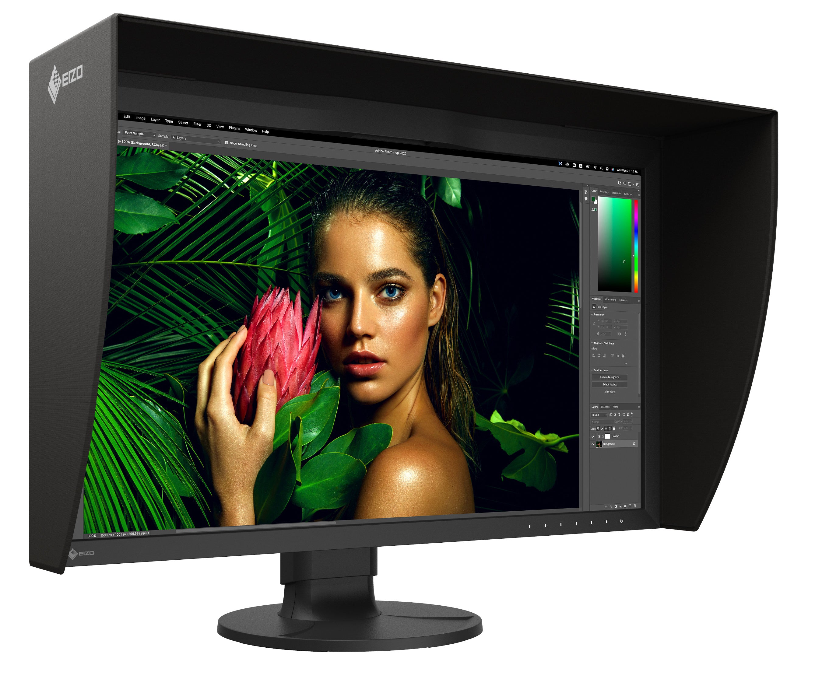 Ecran EIZO ColoRedge CG2700S Noir