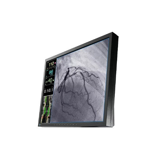Écran EIZO CuratOR 19P LX1910 Avec pied