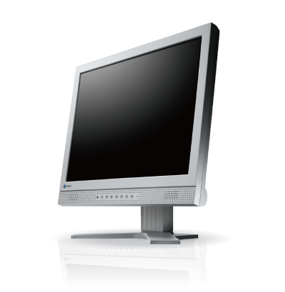 DuraVision 17p FDS1703