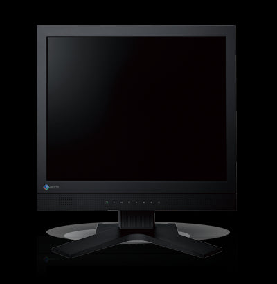 DuraVision 17p FDS1703