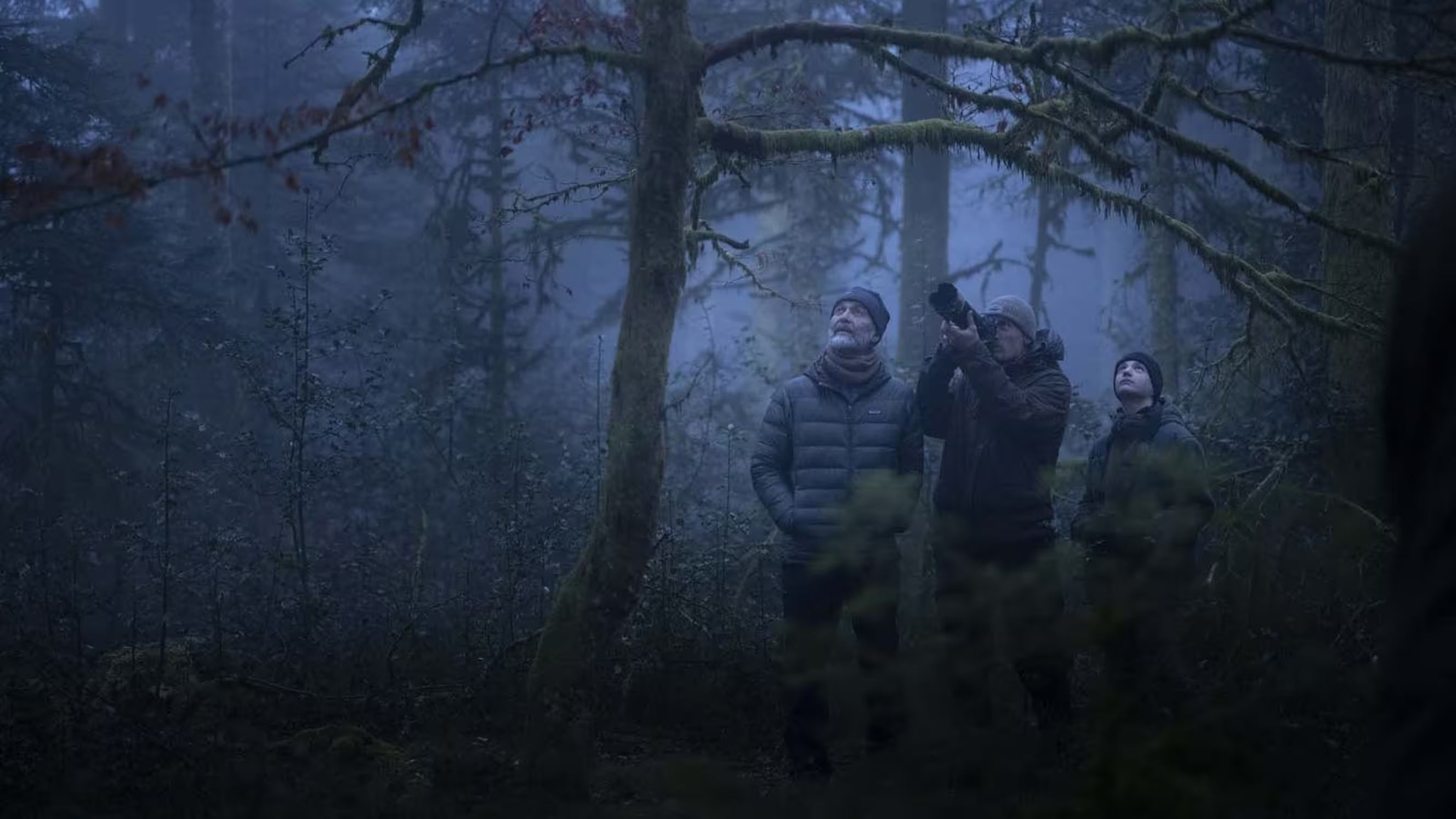 Vincent Munier – « Le chant des forêts » sur du EIZO