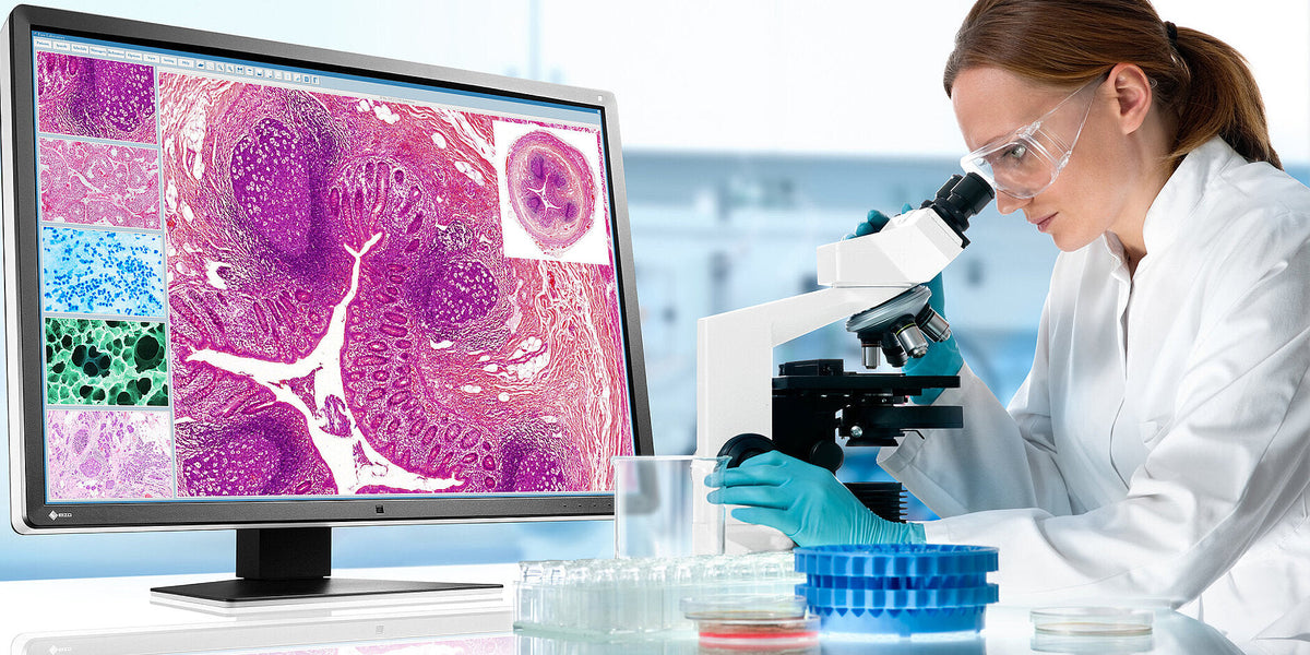 Pathologie