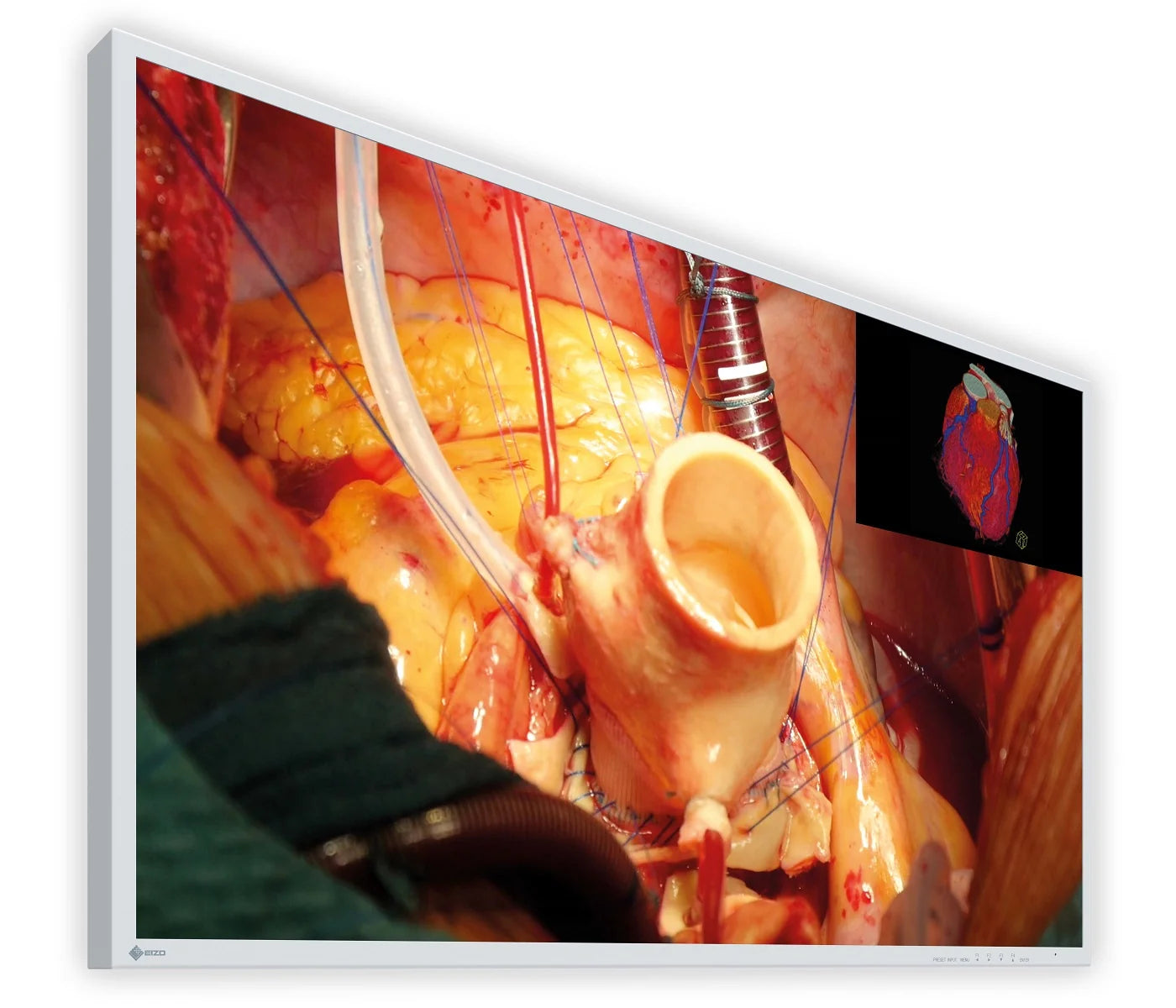 CuratOR 43p 4K UHD EX4342