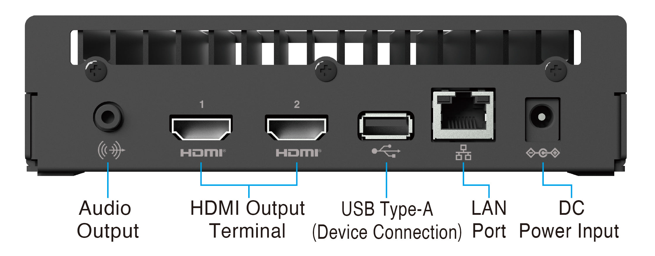 DX0231-IP IP Decoding Box