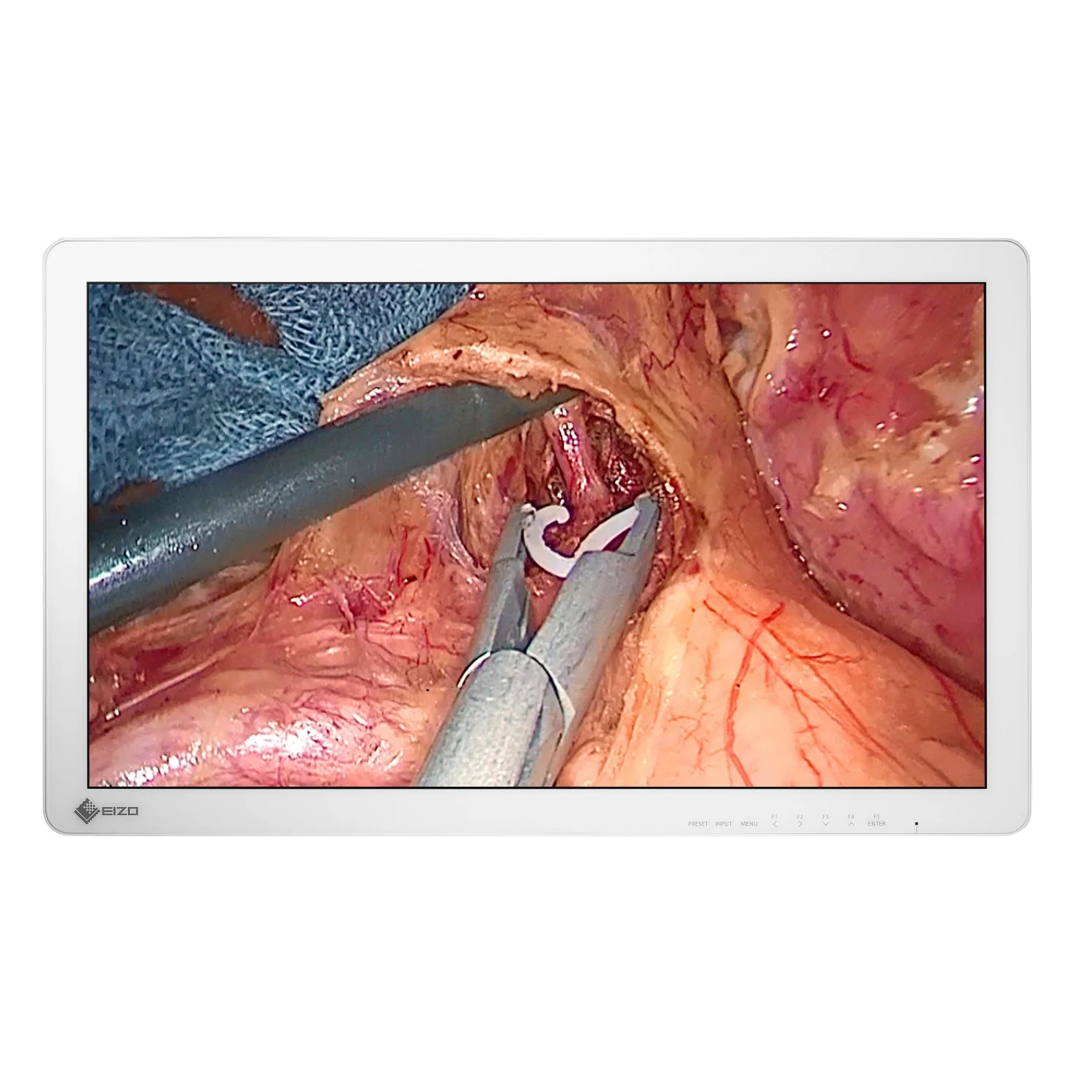 CuratOR 27p LCD EX2721