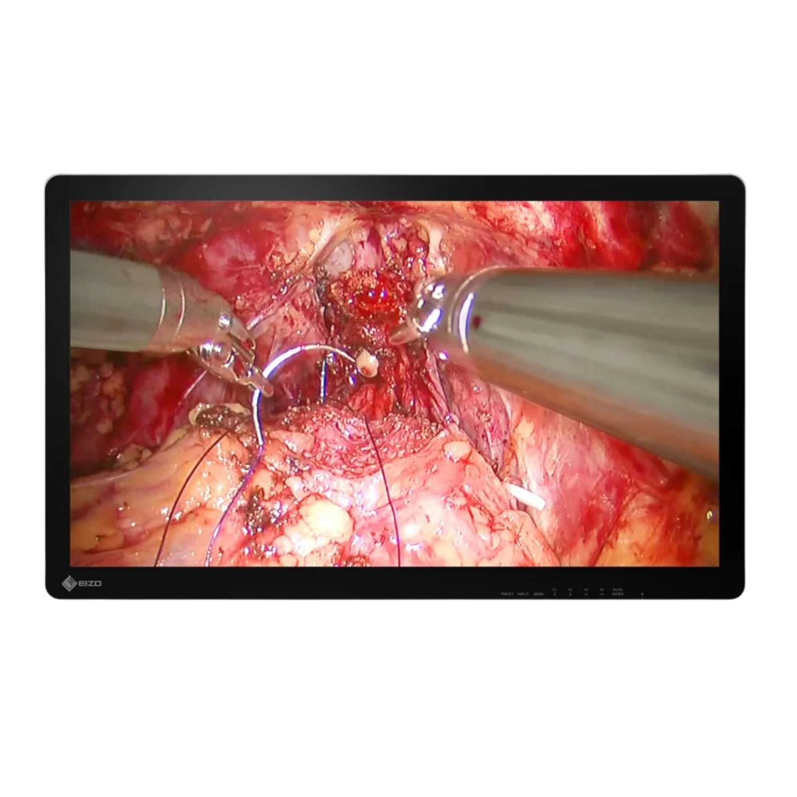 CuratOR 32p 4K UHD EX3242-3D