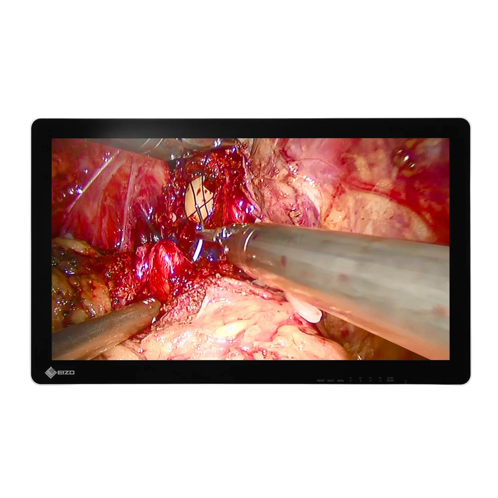 CuratOR 32p LCD EX3220-3D