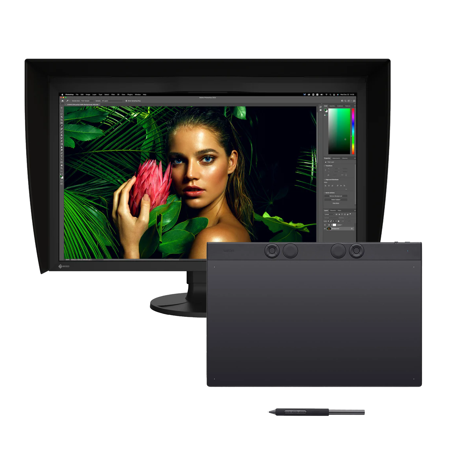 Wacom Intuos Pro pen tablet Large - L