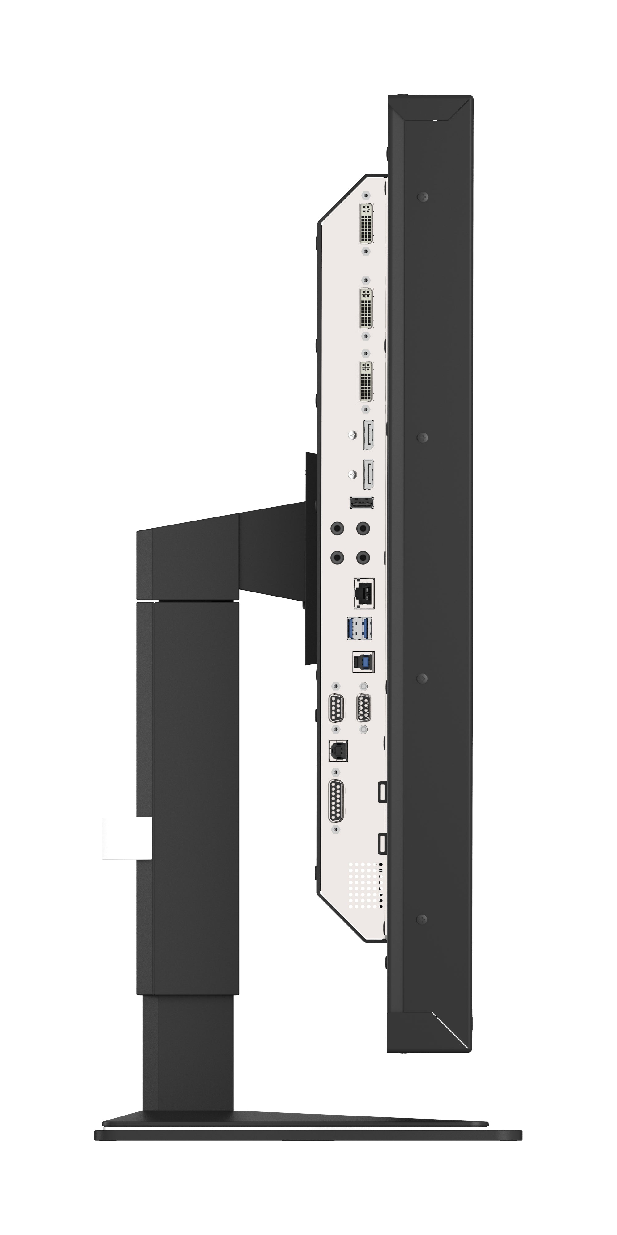 Raptor 28p SQ2826