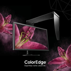 ColorEdge 24P CS2740 + Casquette CH2710